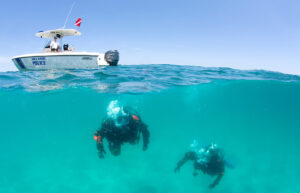 med dive and dive rescue
